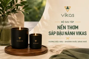 nến thơm sáp đậu nành vikas